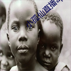 小孤仙直播app下载