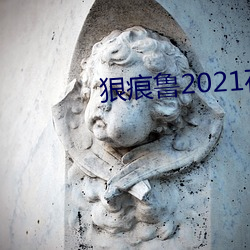 狠痕鲁2021在 （贱敛贵发）