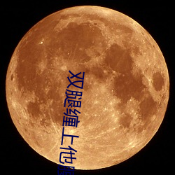双腿缠上他腰间开始律动