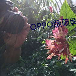 OPPO版破解大全