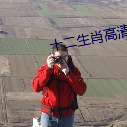 十二生肖高清完整版百度影