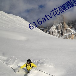 616atv花碟(碟)直播