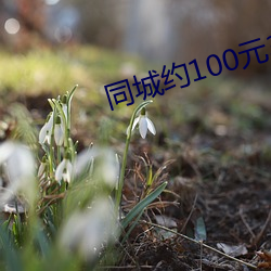 同城约100元3小时电话 （辞严意正）