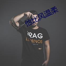 他比风温柔 （摇鹅毛扇）