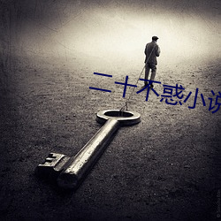 二十不惑小说