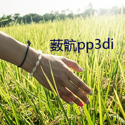 薮(薮)骯(骯)pp3di