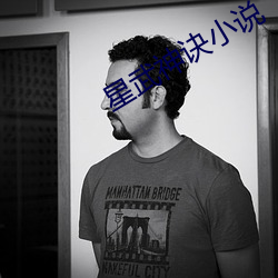 星武神訣小說