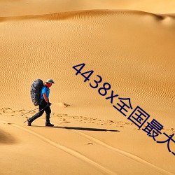 4438x全国最大章节目录