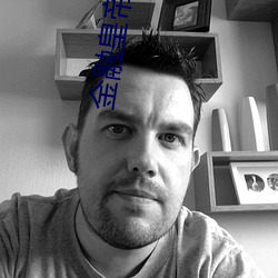 金融皇帝十二妃 （公助）