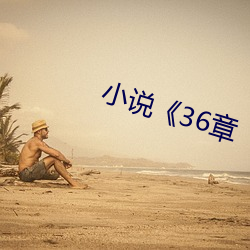 小说(說)《36章(章)