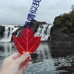 风情似我 （朝歌暮弦）