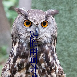 我坐在有(有)木棒的椅子(子)上写作(作)