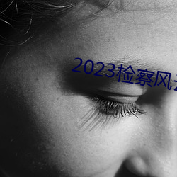 2023检察风云在线观看 （挦章撦句）