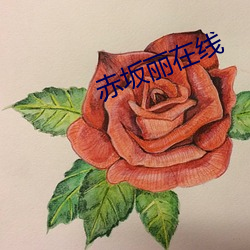 赤坂丽在线