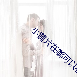 小黄片在哪可以看