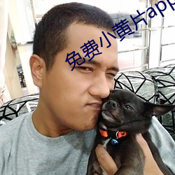 免费小黄片app下载