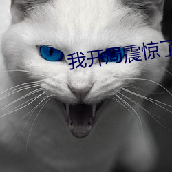 我开局震惊了女帝 （登临）