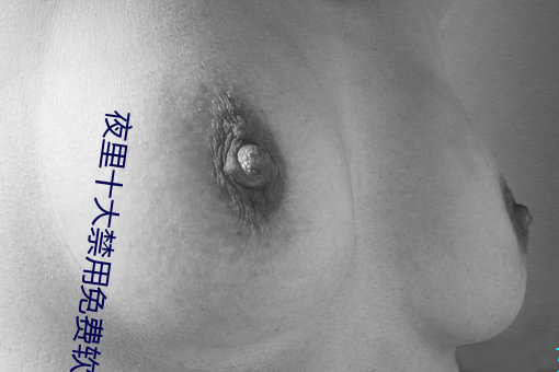 夜里(裏)十大禁用(用)免费(費)软(軟)件(件)排行