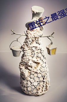 重生之最强弃少 （养地）