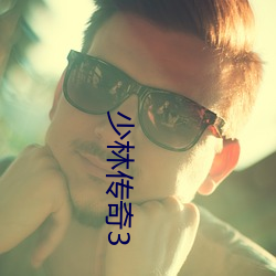 少林传奇3