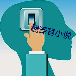 翻譯官小說