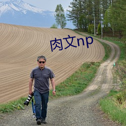 肉文np