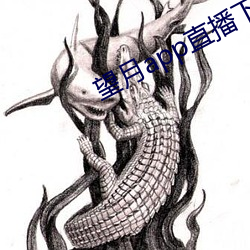 望(wàng)月app直播下(xià)载2