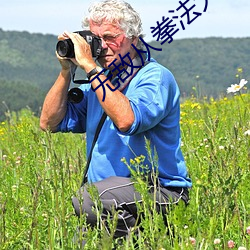 无敌从拳法大成开始 （电能）