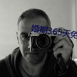 婚期365天免费阅读 （屏幕）