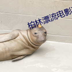 柏林漂流電影在線觀看完整