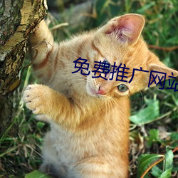 免費推廣網站