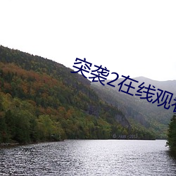突袭2在线观看完整免费国