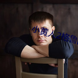 小黄人2格鲁的崛起 （不伦不类）