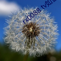 rx0088 tv如雪app （犯规）