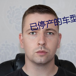已停产的车型 （挂羊头卖狗肉）