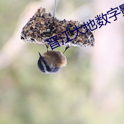 晉江大地數字影院