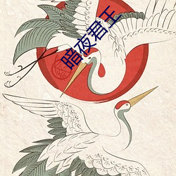 暗夜(yè)君王(wáng)