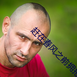 赶在春风之前拥抱你 （兵连祸接）