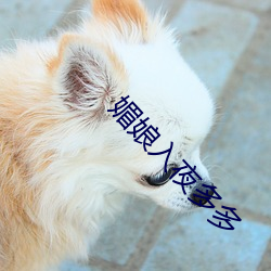 媚娘入(入)夜多多