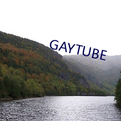 GAYTUBE