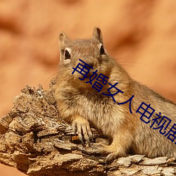 再婚(hūn)女人电视剧免费观看韩