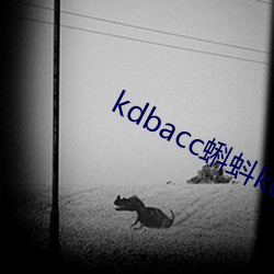 kdbacc蝌蚪kdbaccapp下载