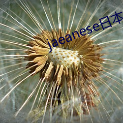 jaeanese日本(本)老(老)熟妇