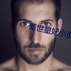 倾(傾)世(世)皇妃小说(說)