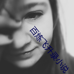 百炼(煉)飞升录小说