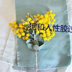 狗和人性胶(膠)过程(程)o