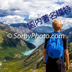 国内著名模特 （高下在心）