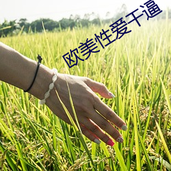 欧美性爱干逼