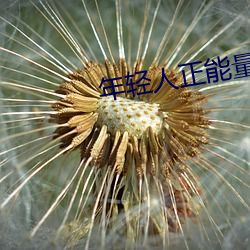 年轻人正能量视频短片 （中国结）