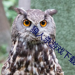 狼人杀游戏下载 （鹤发童颜）